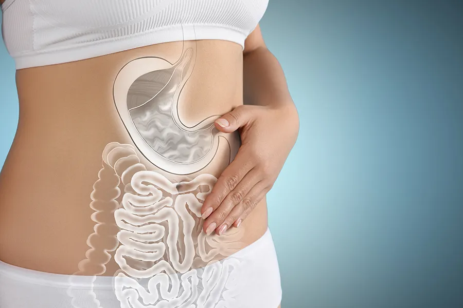 Gut-Health-Doctor Close up of the midriff of a woman with white underwear and an illustration of the digestive system superimposed over the image. Get help for digestive issues and gut health from Vitality Medical in Seattle.