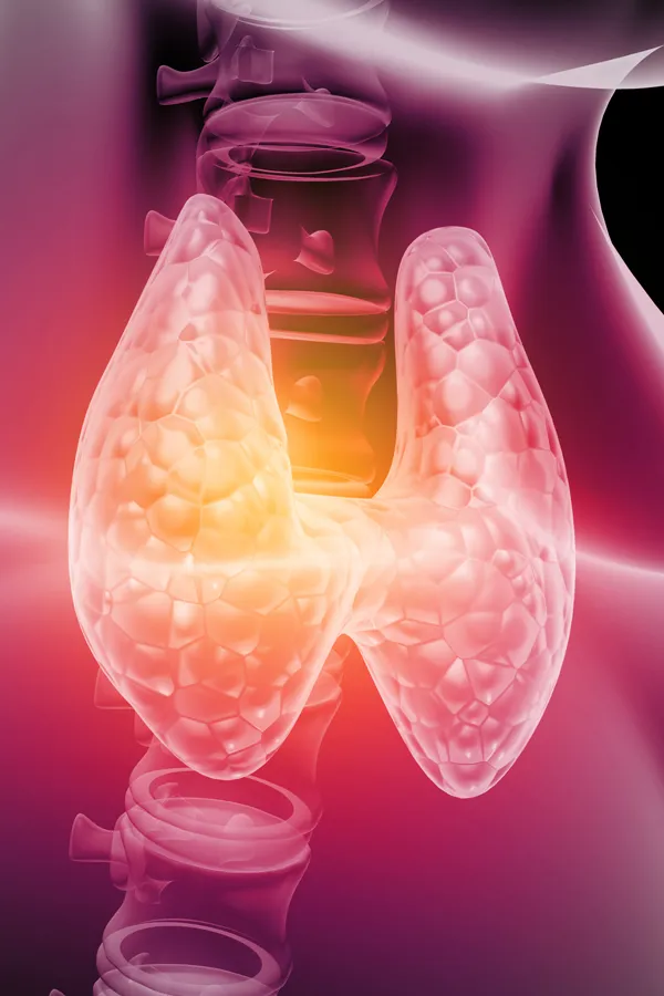Hypothyroidism-Treatment 3D illustration of the thyroid. Get hypothyroidism treatment from Vitality Medical in Seattle.